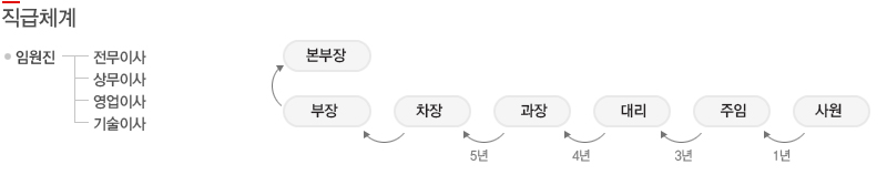 직급체계